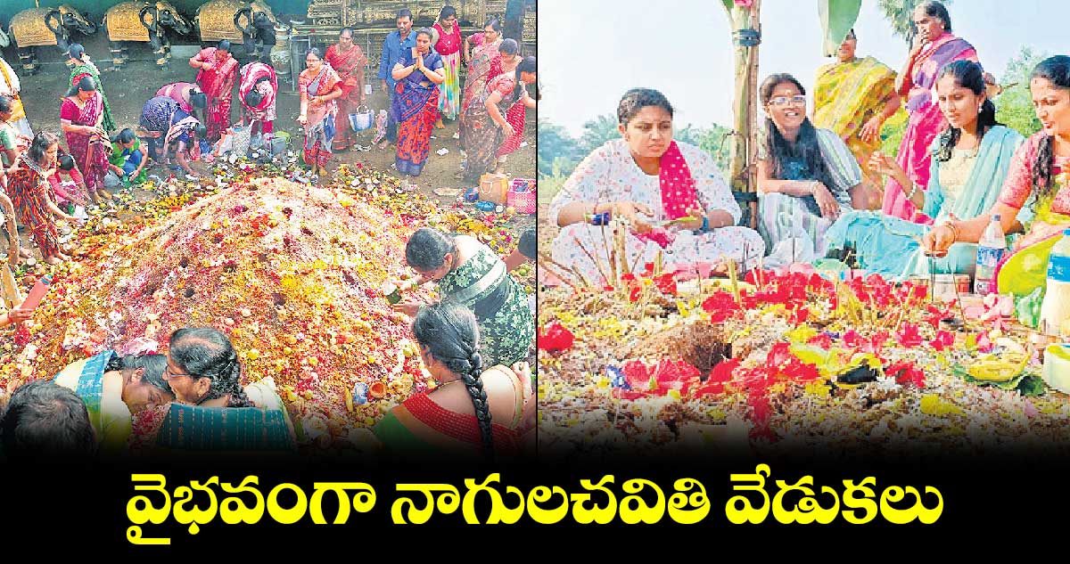 వైభవంగా నాగులచవితి వేడుకలు 