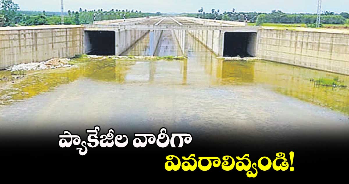 ప్యాకేజీల వారీగా వివరాలివ్వండి!