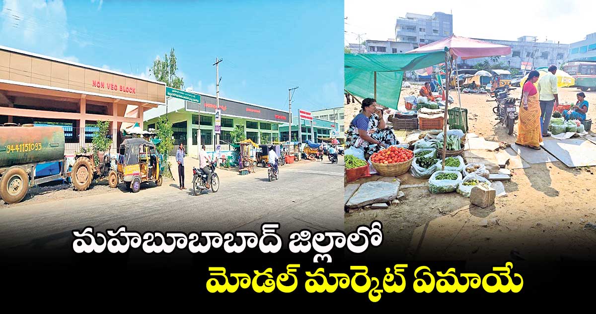 మహబూబాబాద్ జిల్లాలో మోడల్​ మార్కెట్​ ఏమాయే 