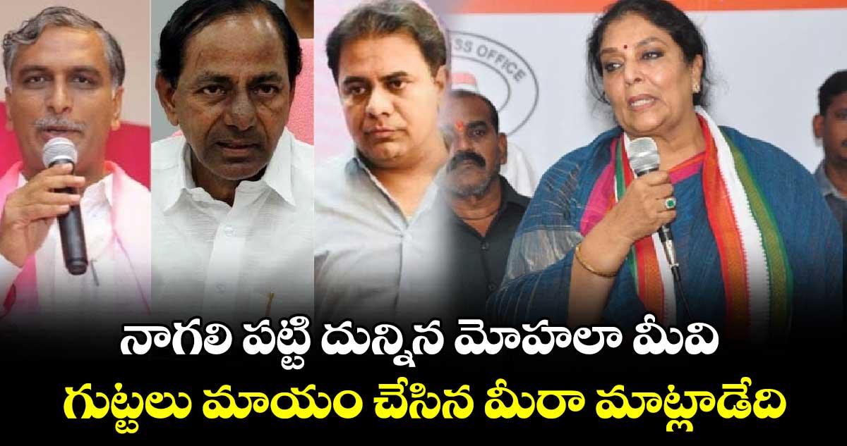 నాగలి పట్టి దున్నిన మోహలా మీవి.. గుట్టలు మాయం చేసిన మీరా మాట్లాడేది : రేణుకా చౌదరి 