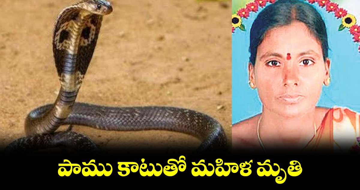 పాము కాటుతో మహిళ మృతి