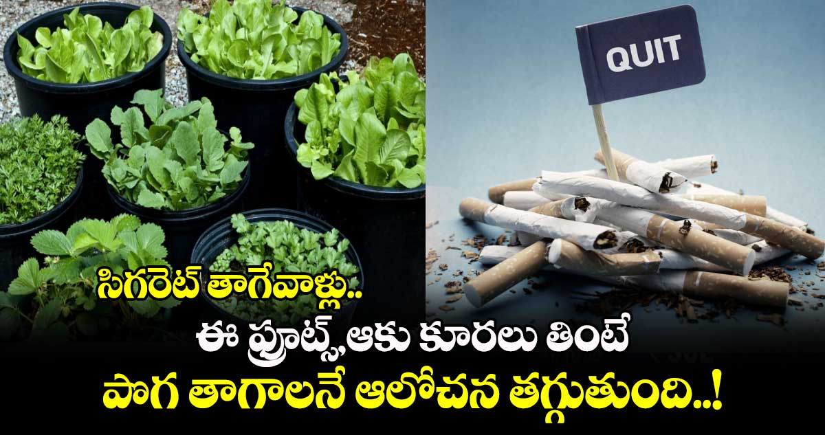 Good Health : సిగరెట్ తాగేవాళ్లు.. ఈ ఫ్రూట్స్,ఆకు కూరలు తింటే పొగ తాగాలనే ఆలోచన తగ్గుతుంది..!