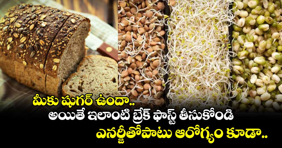 Good Health : మీకు షుగర్ ఉందా.. అయితే ఇలాంటి బ్రేక్ ఫాస్ట్ తీసుకోండి.. ఎనర్జీతోపాటు ఆరోగ్యం కూడా..