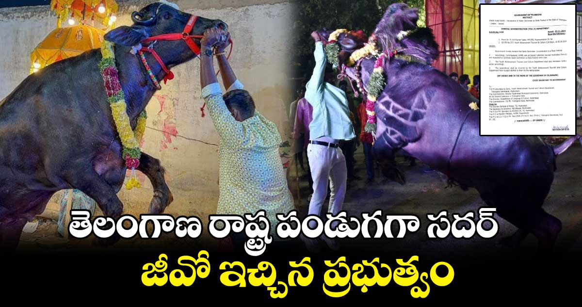 Sadar Festival: తెలంగాణ రాష్ట్ర పండుగగా సదర్.. జీవో ఇచ్చిన ప్రభుత్వం