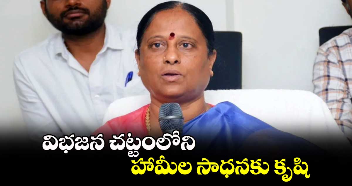 విభజన చట్టంలోని హామీల సాధనకు కృషి