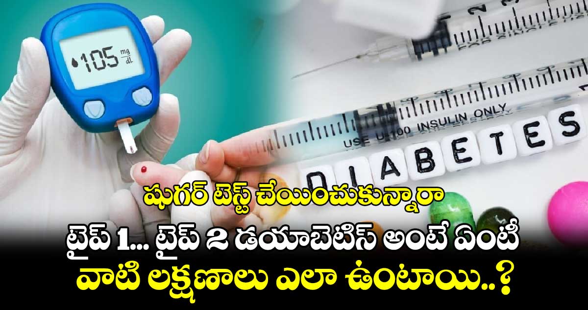 Good Health : షుగర్ టెస్ట్ చేయించుకున్నారా.. టైప్ 1... టైప్ 2 డయాబెటిస్ అంటే ఏంటీ.. వాటి లక్షణాలు ఎలా ఉంటాయి..?