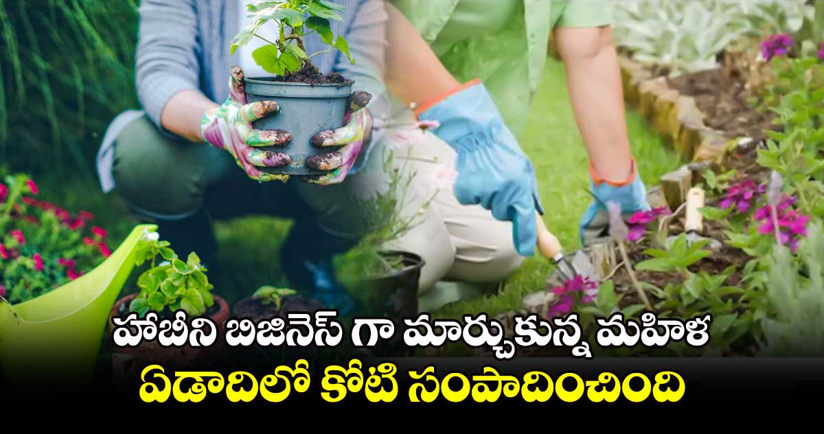 Plant business: హాబీని బిజినెస్ గా మార్చుకున్న మహిళ.. ఏడాదిలో కోటి సంపాదించింది.