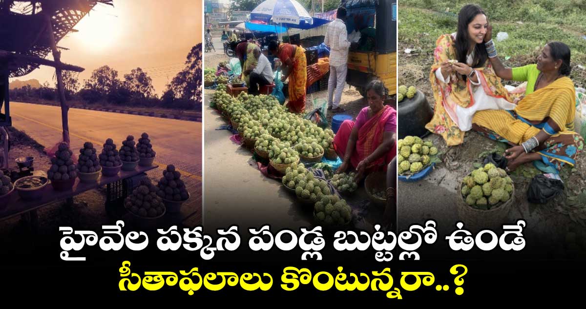 హైవేల పక్కన పండ్ల బుట్టల్లో ఉండే  సీతాఫలాలు కొంటున్నరా..?