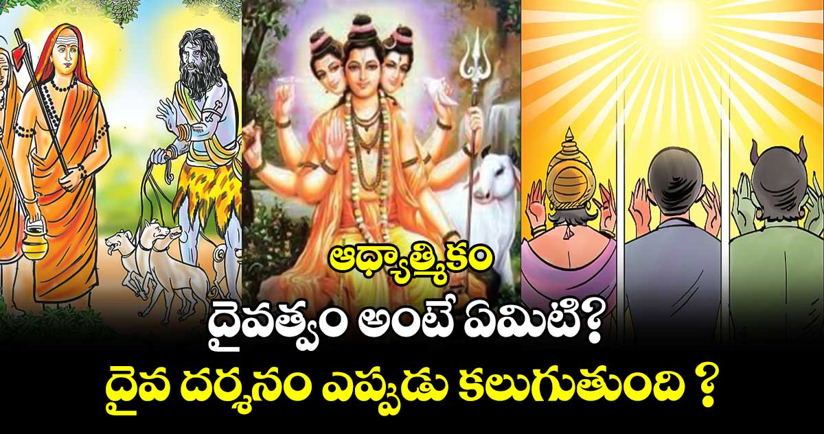 ఆధ్యాత్మికం:  దైవత్వం అంటే ఏమిటి? దైవ దర్శనం ఎప్పుడు కలుగుతుంది ?