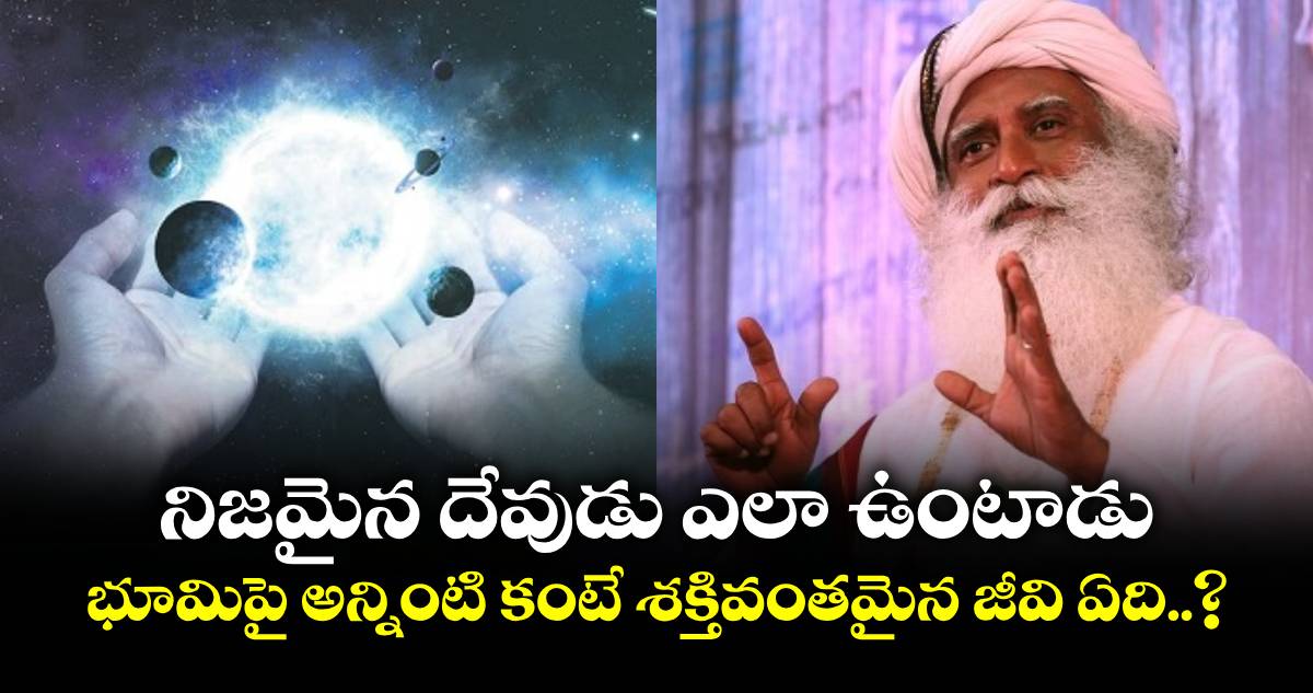 ఆధ్యాత్మికం : నిజమైన దేవుడు ఎలా ఉంటాడు.. భూమిపై అన్నింటి కంటే శక్తివంతమైన జీవి ఏది..?