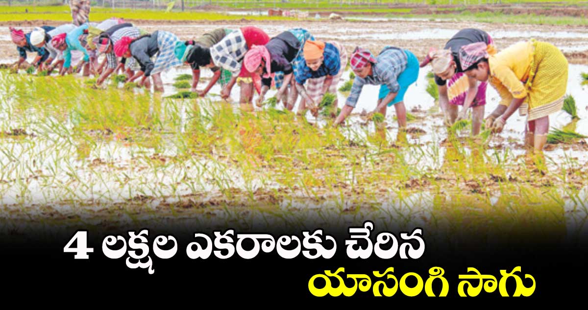 4 లక్షల ఎకరాలకు చేరిన యాసంగి సాగు