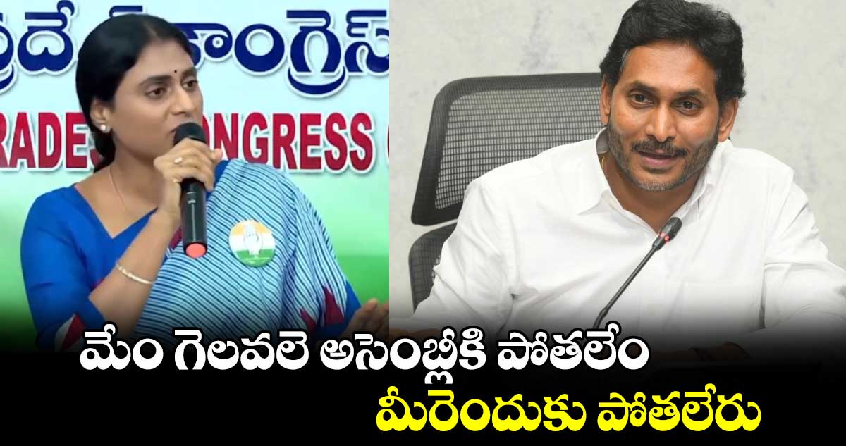 మేం గెలవలె అసెంబ్లీకి పోతలేం.. మీరెందుకు పోతలేరు: జగన్‌ను ప్రశ్నించిన షర్మిల