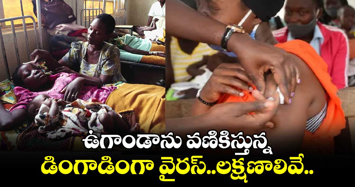 ఉగాండాను వణికిస్తున్న డింగాడింగా వైరస్..లక్షణాలివే..