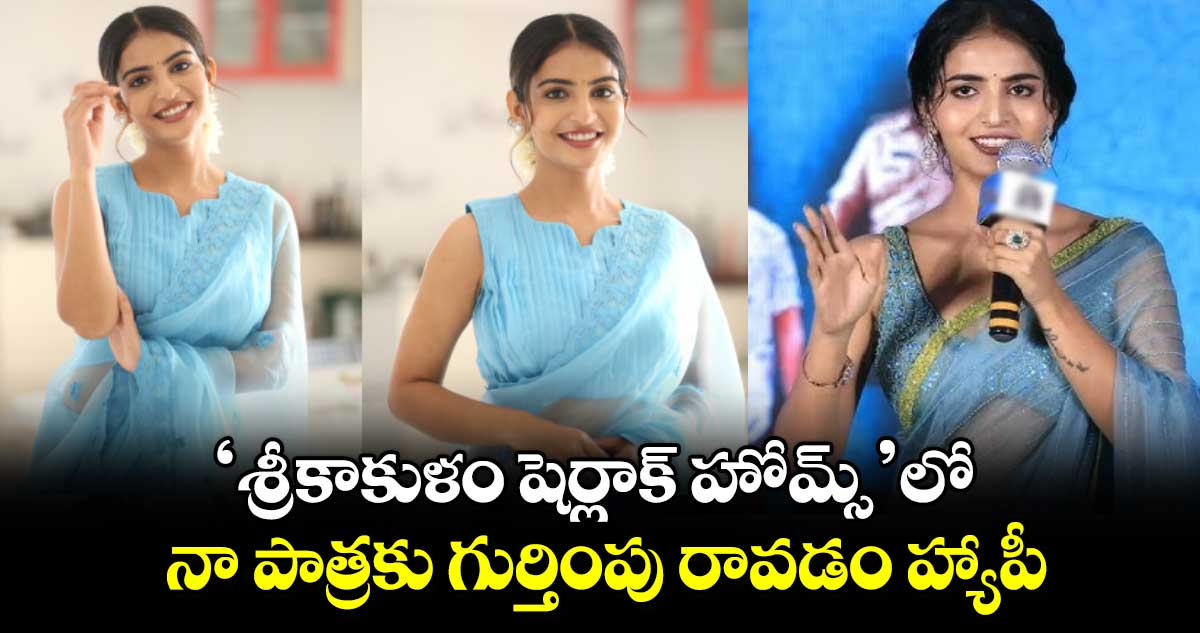 ‘శ్రీకాకుళం షెర్లాక్ హోమ్స్’లో నా పాత్రకు గుర్తింపు  రావడం హ్యాపీ: అనన్య నాగళ్ల