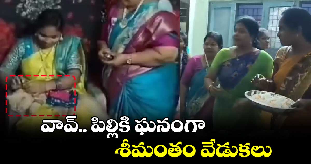 వావ్.. పిల్లికి ఘనంగా శీమంతం వేడుకలు...