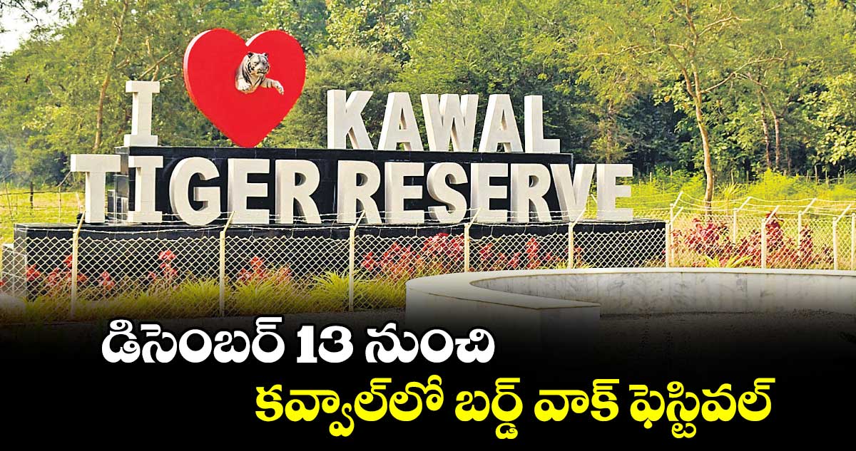 డిసెంబ‌ర్ 13 నుంచి కవ్వాల్​లో బర్డ్​ వాక్ ఫెస్టివల్