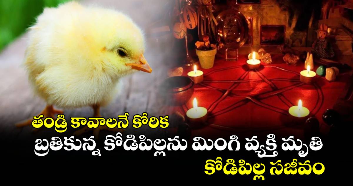 తండ్రి కావాలనే కోరిక.. బ్రతికున్న కోడిపిల్లను మింగి వ్యక్తి మృతి.. కోడిపిల్ల సజీవం