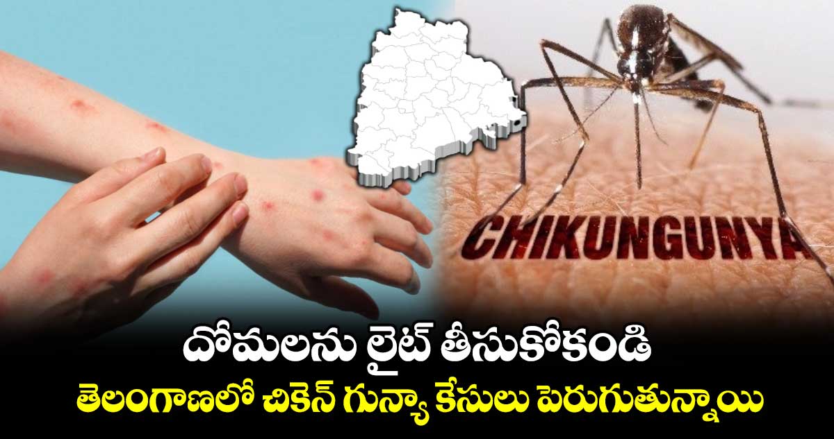 Health Alert: దోమలను లైట్ తీసుకోకండి.. తెలంగాణలో చికెన్ గున్యా కేసులు పెరుగుతున్నాయి.. 