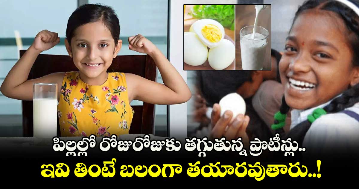 Good Health : పిల్లల్లో రోజురోజుకు తగ్గుతున్న ప్రొటీన్లు.. ఇవి తింటే బలంగా తయారవుతారు..!