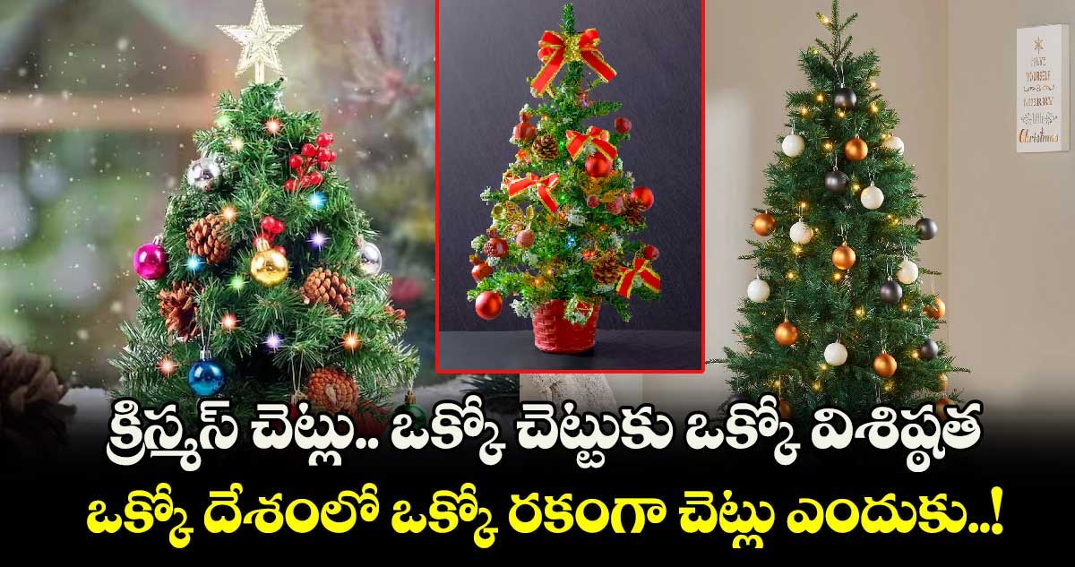 Christmas 2024: క్రిస్మస్ చెట్లు.. ఒక్కో చెట్టుకు ఒక్కో విశిష్ఠత.. ఒక్కో దేశంలో ఒక్కో రకంగా చెట్లు ఎందుకు..!