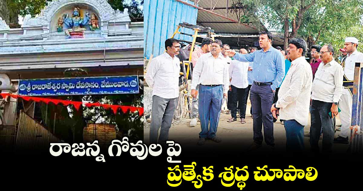 రాజన్న గోవుల పై ప్రత్యేక శ్రద్ధ చూపాలి : సందీప్ కుమార్ ఝా