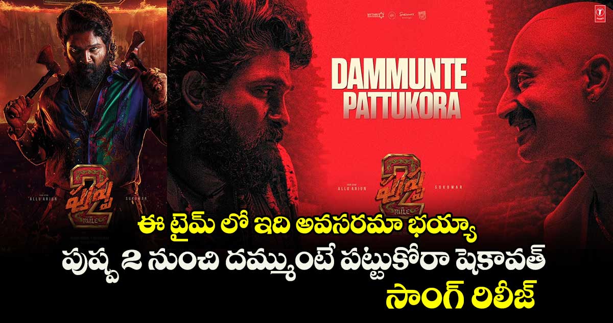 ఈ టైమ్ లో ఇది అవసరమా భయ్యా.. పుష్ప 2 నుంచి దమ్ముంటే పట్టుకోరా షెకావత్ సాంగ్ రిలీజ్.. 