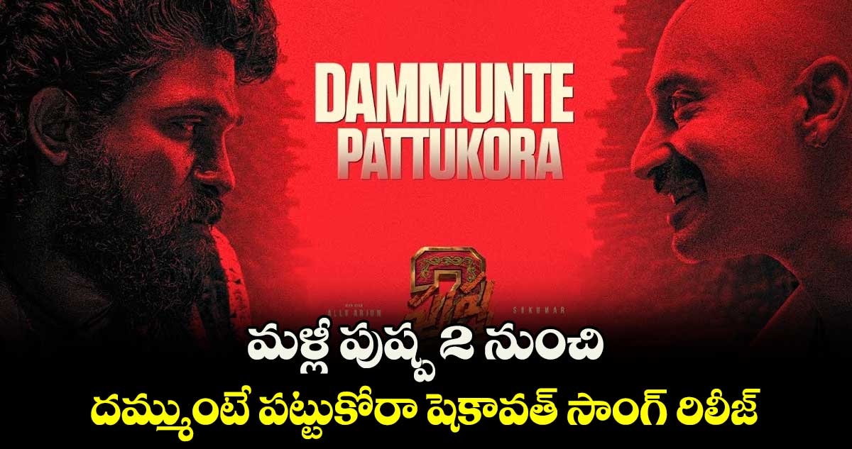 మళ్లీ పుష్ప 2 నుంచి దమ్ముంటే పట్టుకోరా షెకావత్ సాంగ్ రిలీజ్..