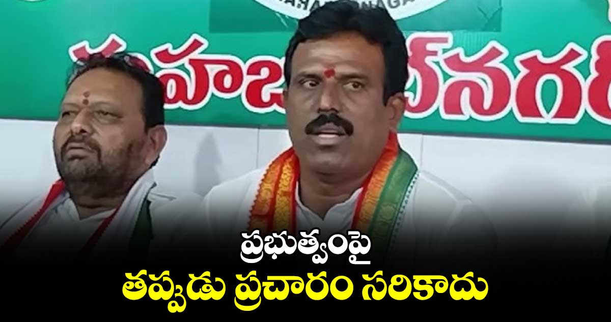 ప్రభుత్వంపై తప్పుడు ప్రచారం సరికాదు