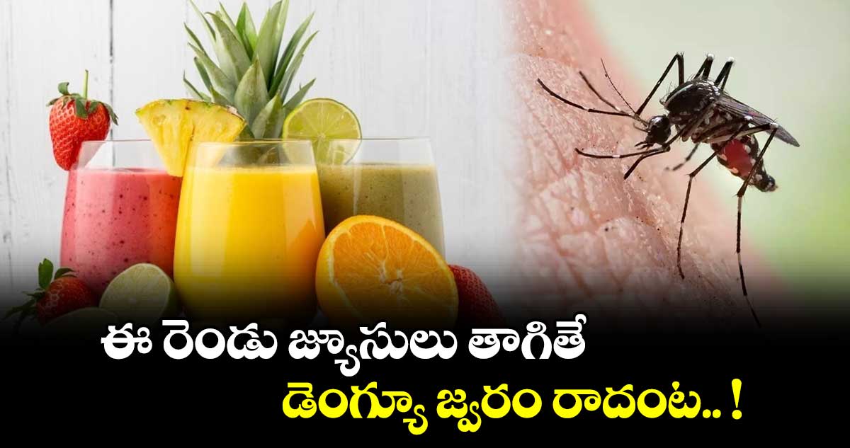 Good Health : ఈ రెండు జ్యూసులు తాగితే.. డెంగ్యూ జ్వరం రాదంట.. !