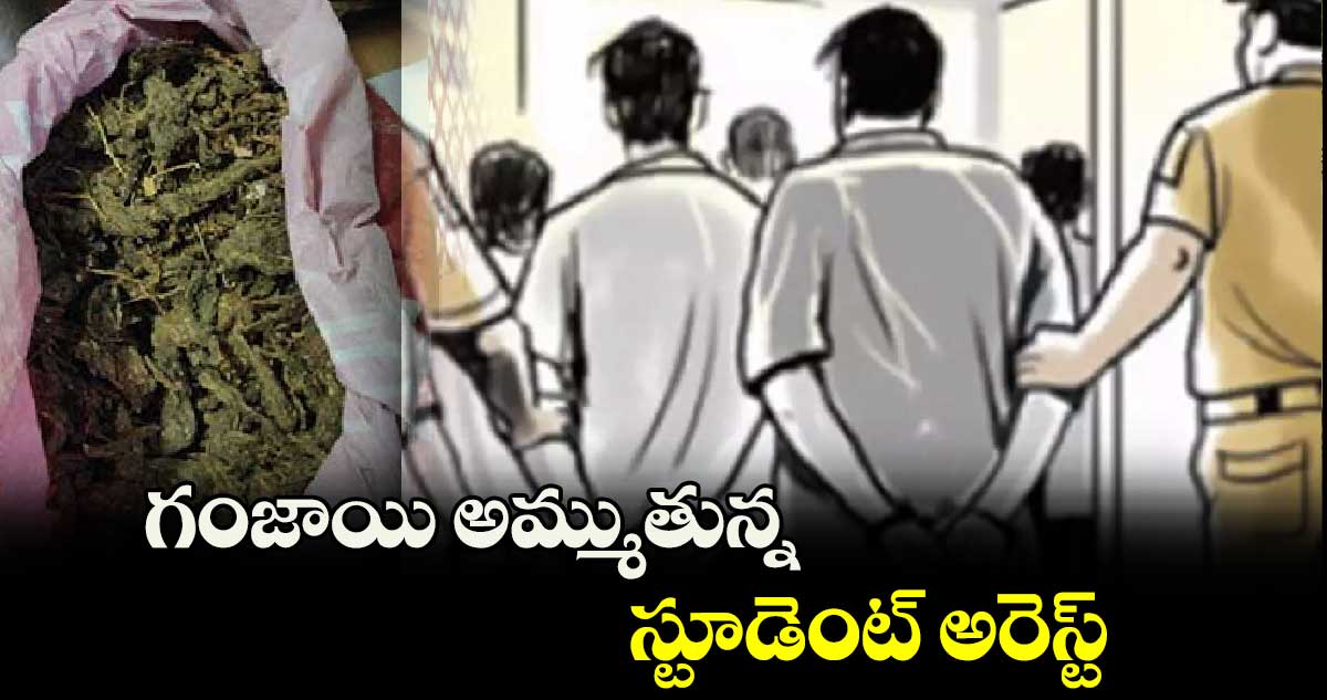 గంజాయి అమ్ముతున్న స్టూడెంట్ అరెస్ట్ 