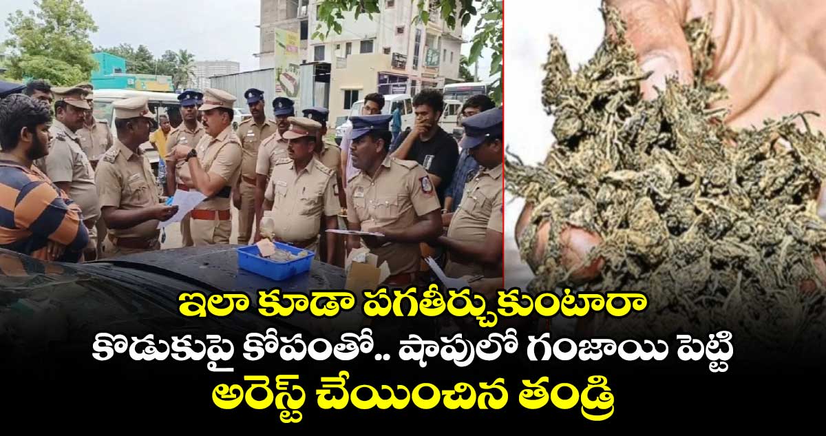 ఇలా కూడా పగతీర్చుకుంటారా: కొడుకుపై కోపంతో..షాపులో గంజాయి పెట్టి అరెస్ట్ చేయించిన తండ్రి