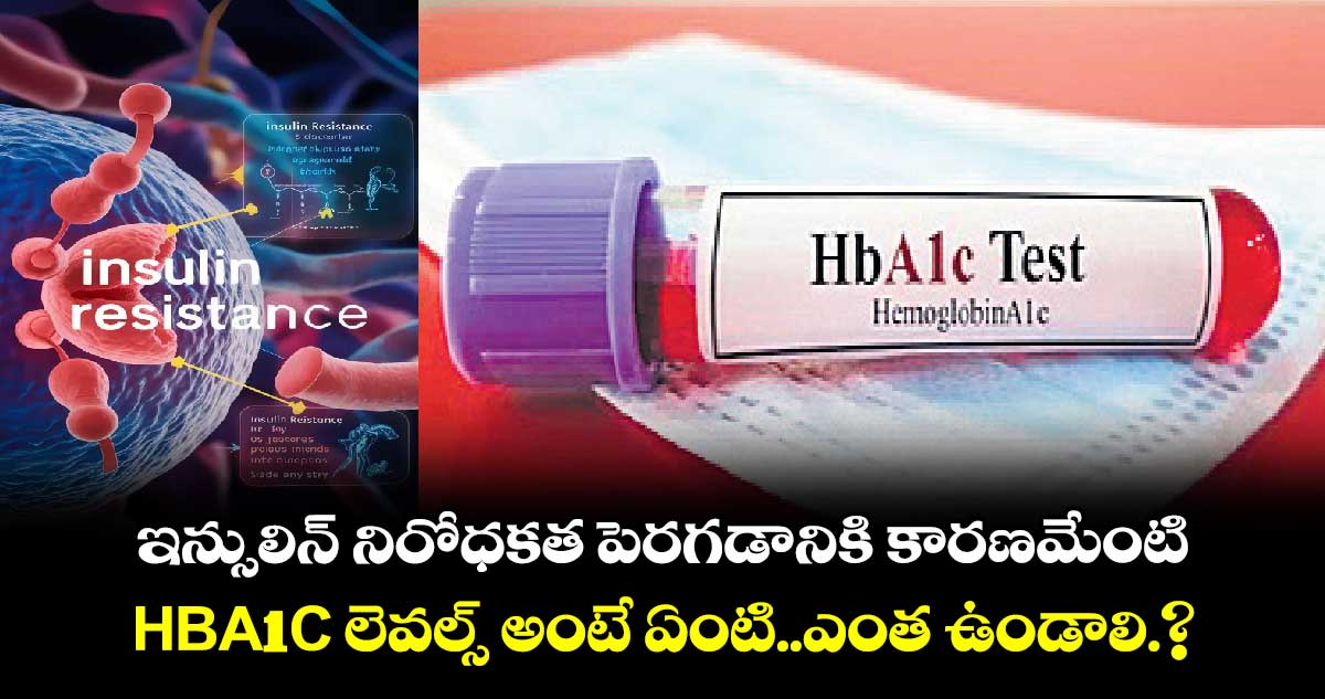  ఇన్సులిన్ నిరోధకత పెరగడానికి కారణమేంటి ..HBA1C లెవల్స్ అంటే ఏంటి..ఎంత ఉండాలి.?