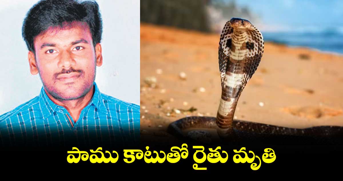 పాము కాటుతో రైతు మృతి