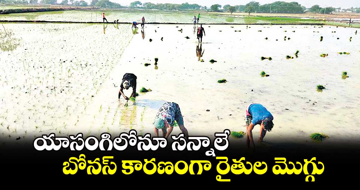 యాసంగిలోనూ సన్నాలే..బోనస్​ కారణంగా రైతుల మొగ్గు    