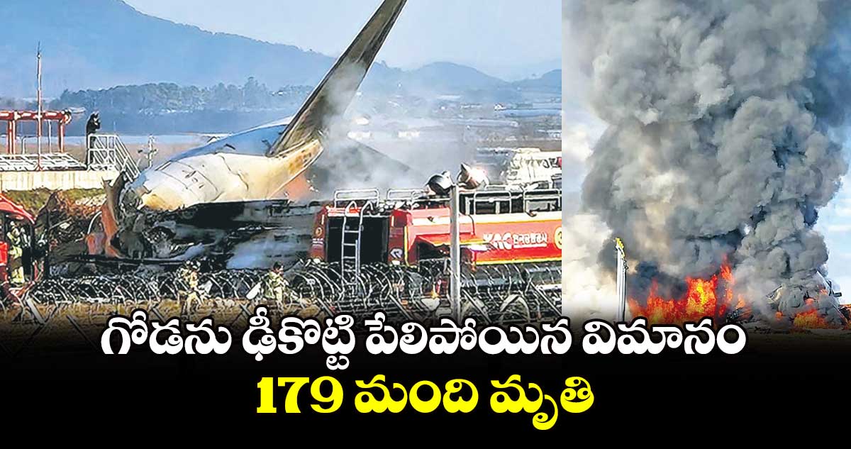 గోడను ఢీకొట్టి పేలిపోయిన విమానం 179 మంది మృతి