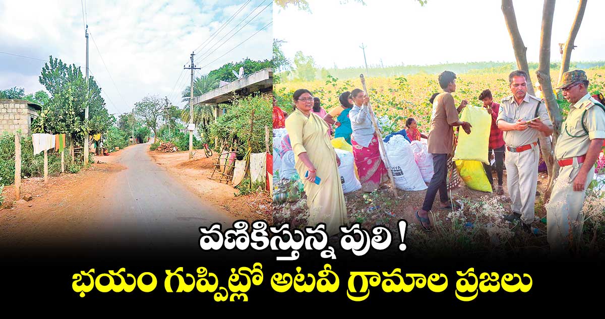 వణికిస్తున్న పులి !..భయం గుప్పిట్లో అటవీ గ్రామాల ప్రజలు