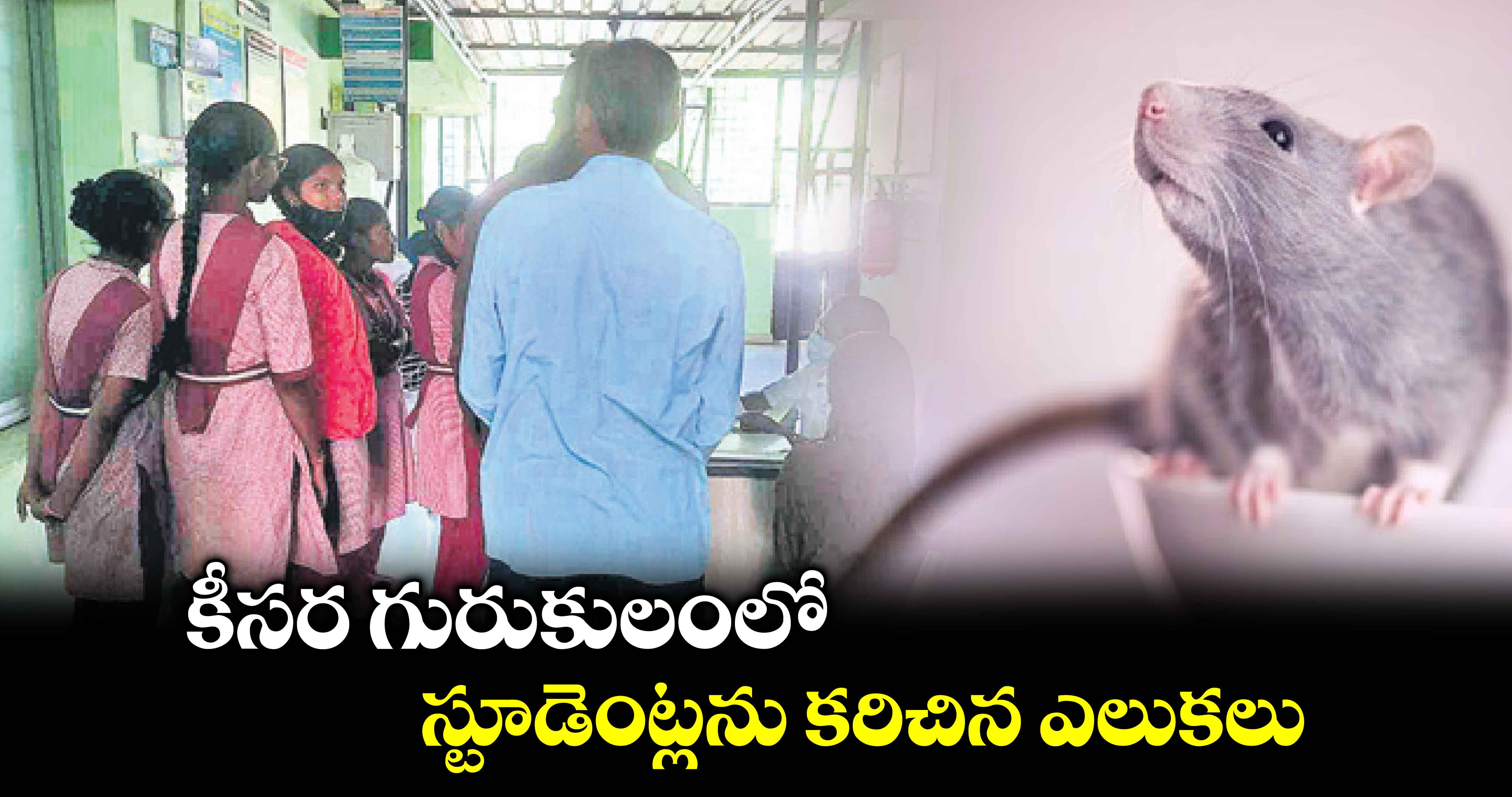 కీసర గురుకులంలో స్టూడెంట్లను కరిచిన ఎలుకలు