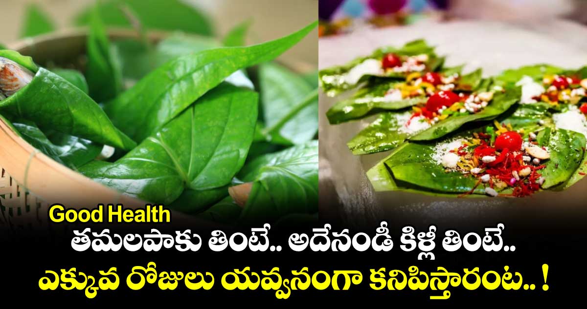  Good Health : తమలపాకు తింటే.. అదేనండీ కిళ్లీ తింటే.. ఎక్కువ రోజులు యవ్వనంగా కనిపిస్తారంట.. !