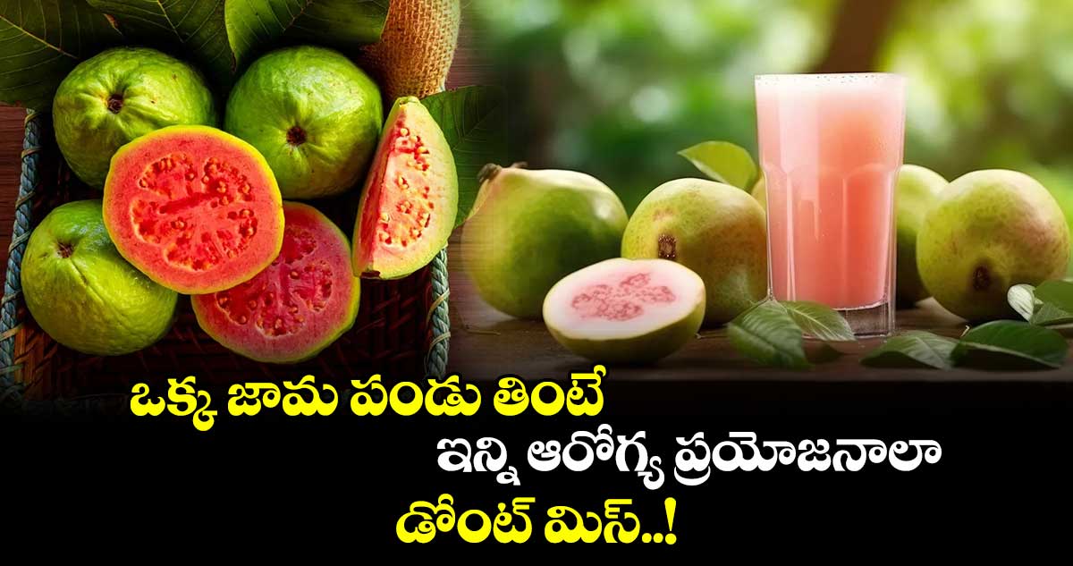 Good Health : ఒక్క జామ పండు తింటే.. ఇన్ని ఆరోగ్య ప్రయోజనాలా.. డోంట్ మిస్..!