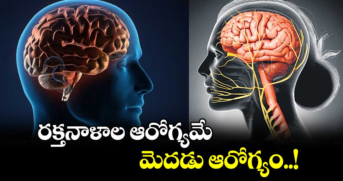 రక్తనాళాల ఆరోగ్యమే.. మెదడు ఆరోగ్యం..! 