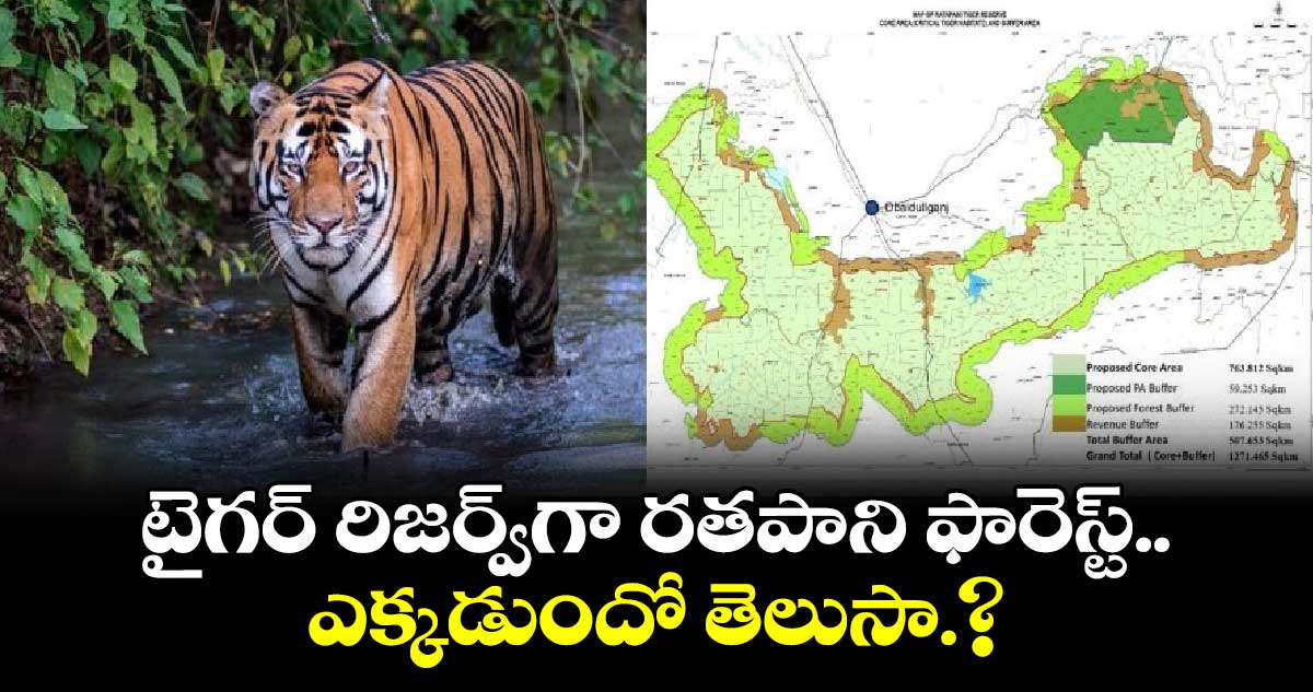 టైగర్​ రిజర్వ్​గా రతపాని ఫారెస్ట్​..ఎక్కడుందో తెలుసా.?