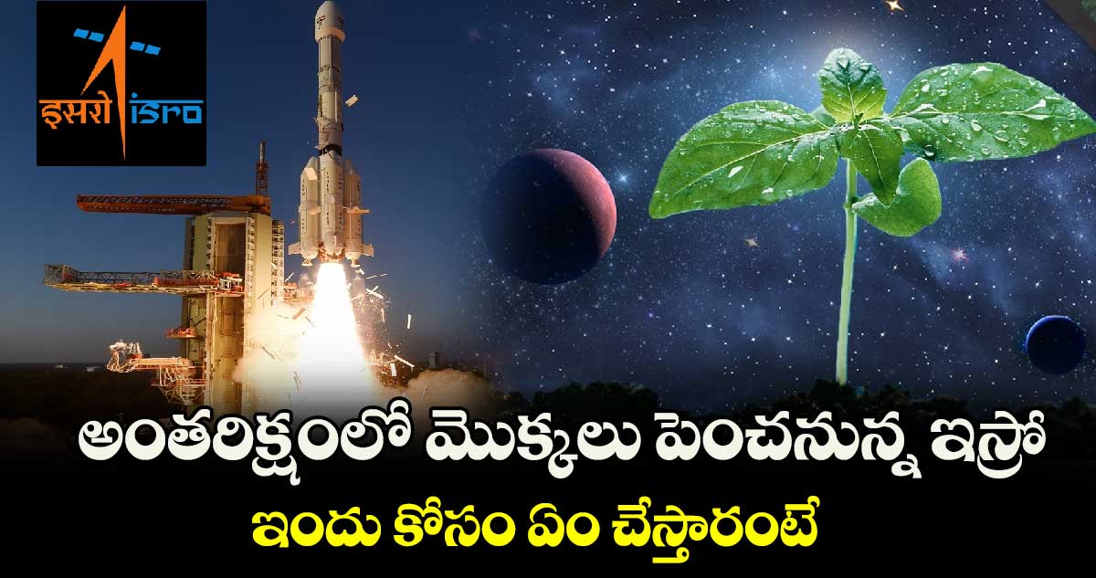 అంతరిక్షంలో మొక్కలు పెంచనున్న ఇస్రో.. ఇందు కోసం ఏం చేస్తారంటే..