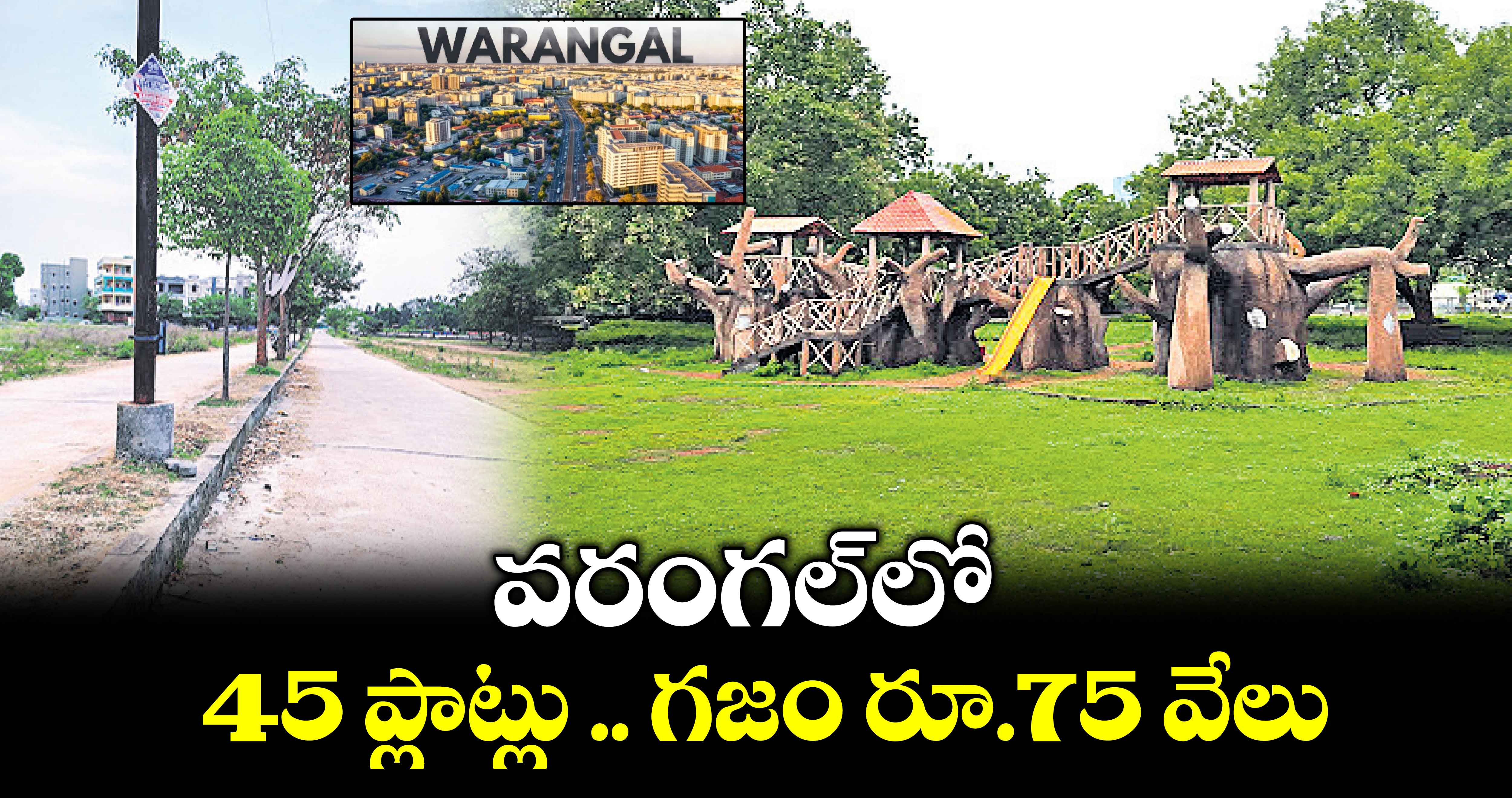 వరంగల్​లో  45 ప్లాట్లు .. గజం రూ.75 వేలు