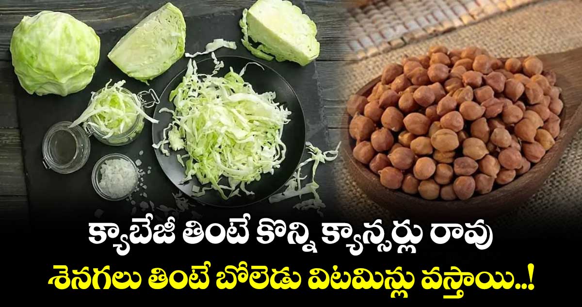 Good Food : క్యాబేజీ తింటే కొన్ని క్యాన్సర్లు రావు.. శెనగలు తింటే బోలెడు విటమిన్లు వస్తాయి..!