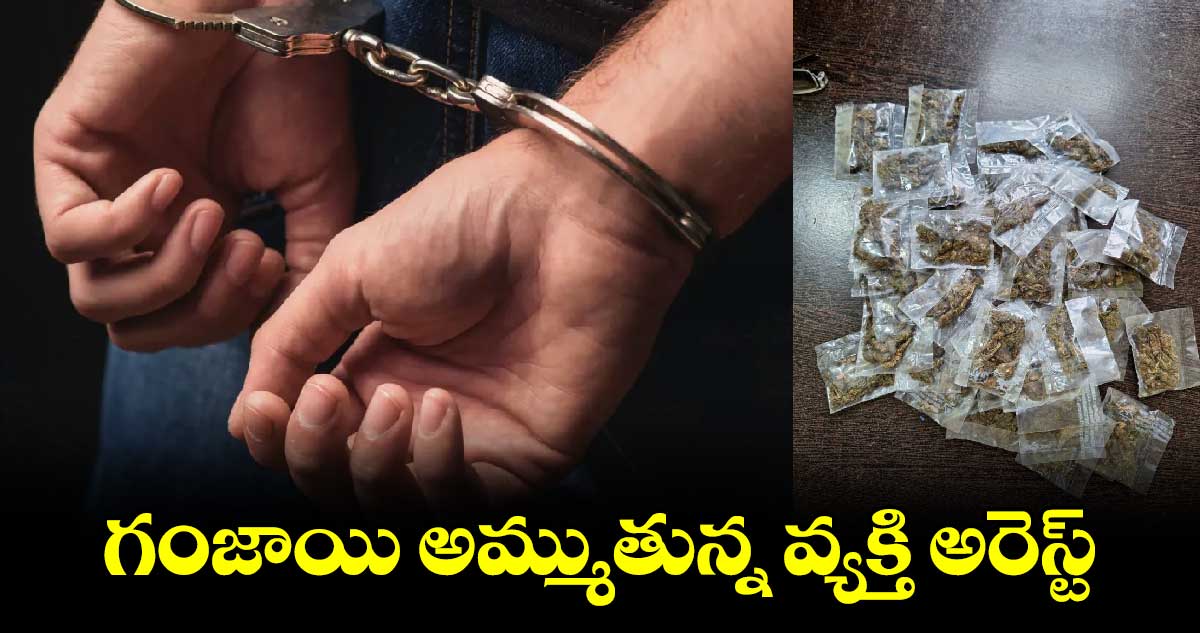 గంజాయి అమ్ముతున్న వ్యక్తి అరెస్ట్ 