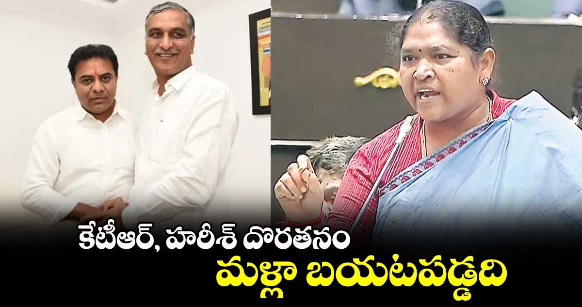 కేటీఆర్, హరీశ్ దొరతనం మళ్లా బయటపడ్డది: మంత్రి సీతక్క