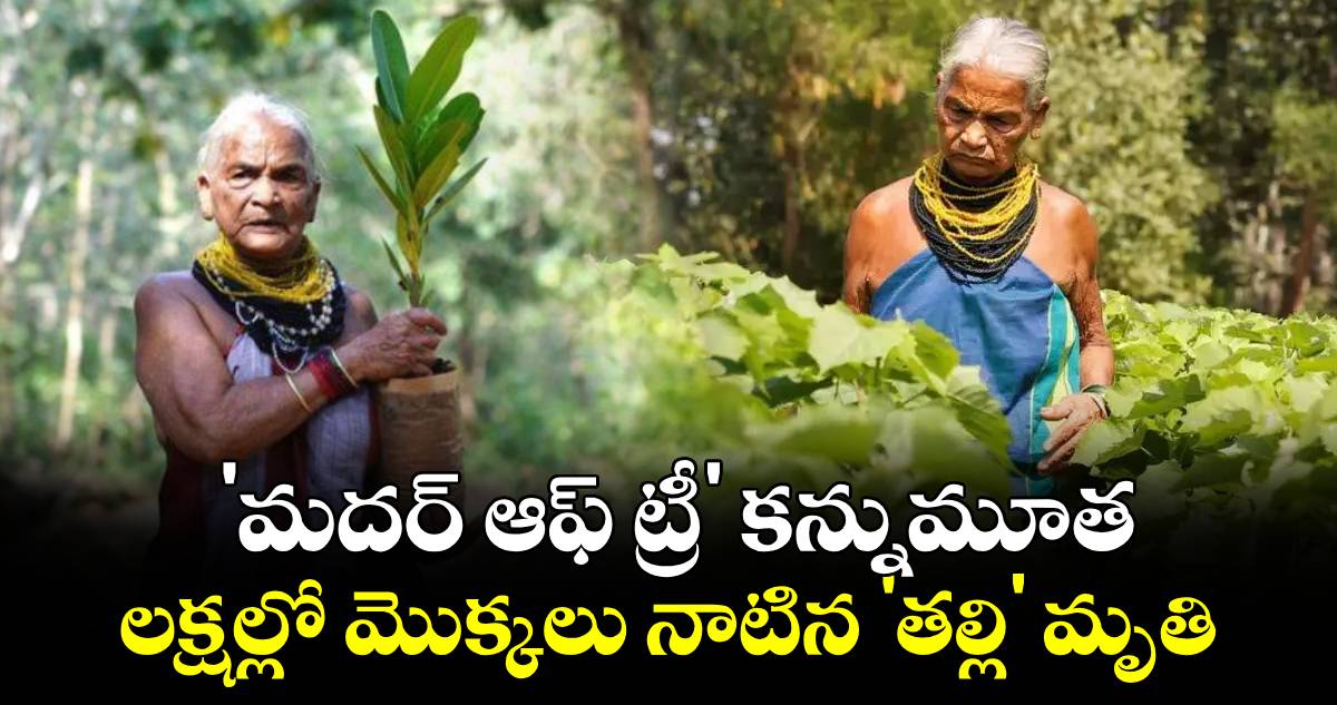 'మదర్ ఆఫ్ ట్రీ' కన్నుమూత – లక్షల్లో మొక్కలు నాటిన 'తల్లి' మృతి