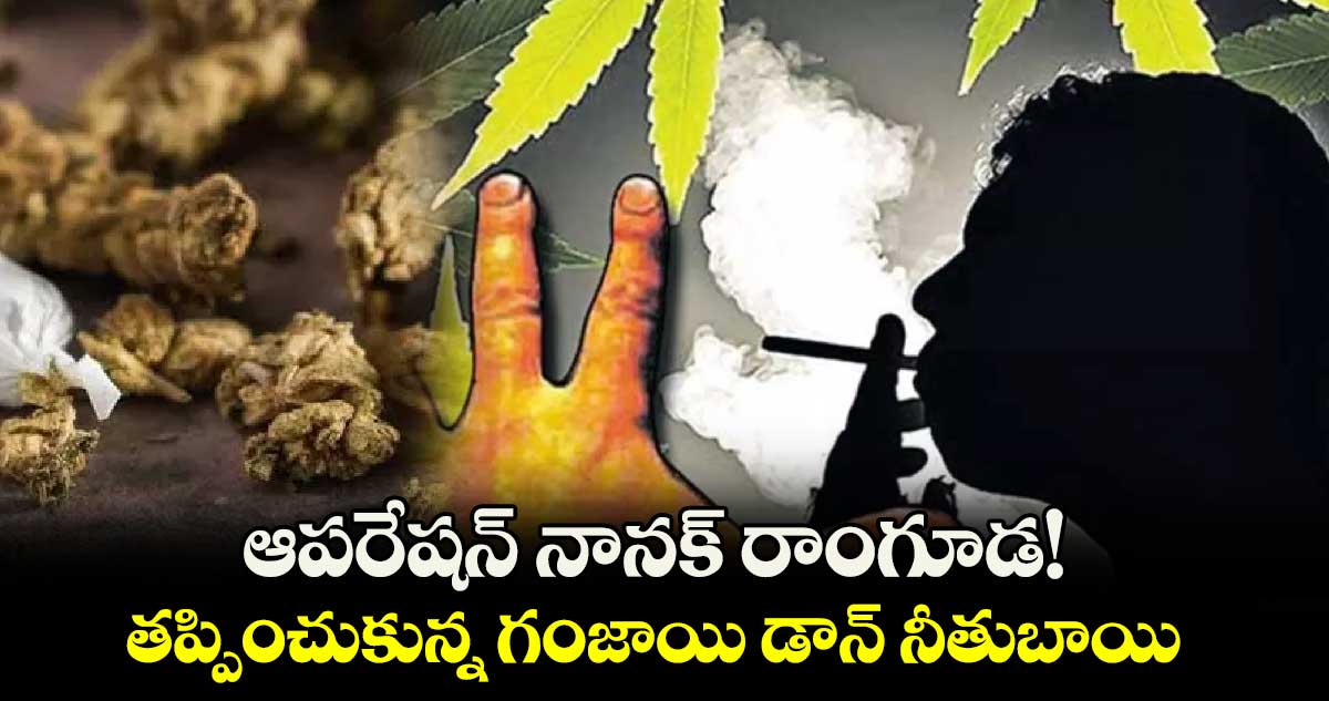 ఆపరేషన్​ నానక్​ రాంగూడ! తప్పించుకున్న గంజాయి డాన్​ నీతుబాయి