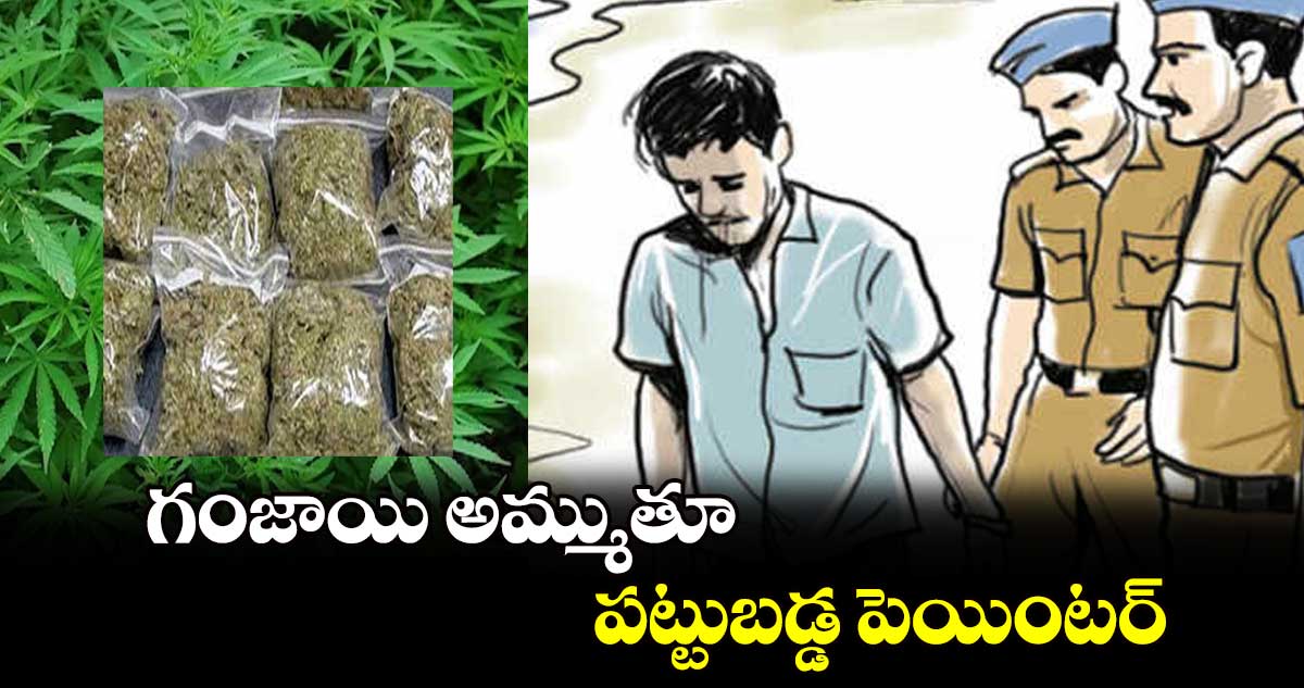 గంజాయి అమ్ముతూ పట్టుబడ్డ పెయింటర్