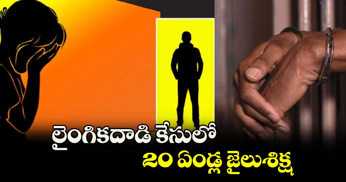 లైంగికదాడి కేసులో 20 ఏండ్ల జైలుశిక్ష